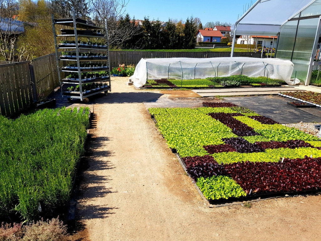 Gärtnerei Bauer Gartenbau-Floristik