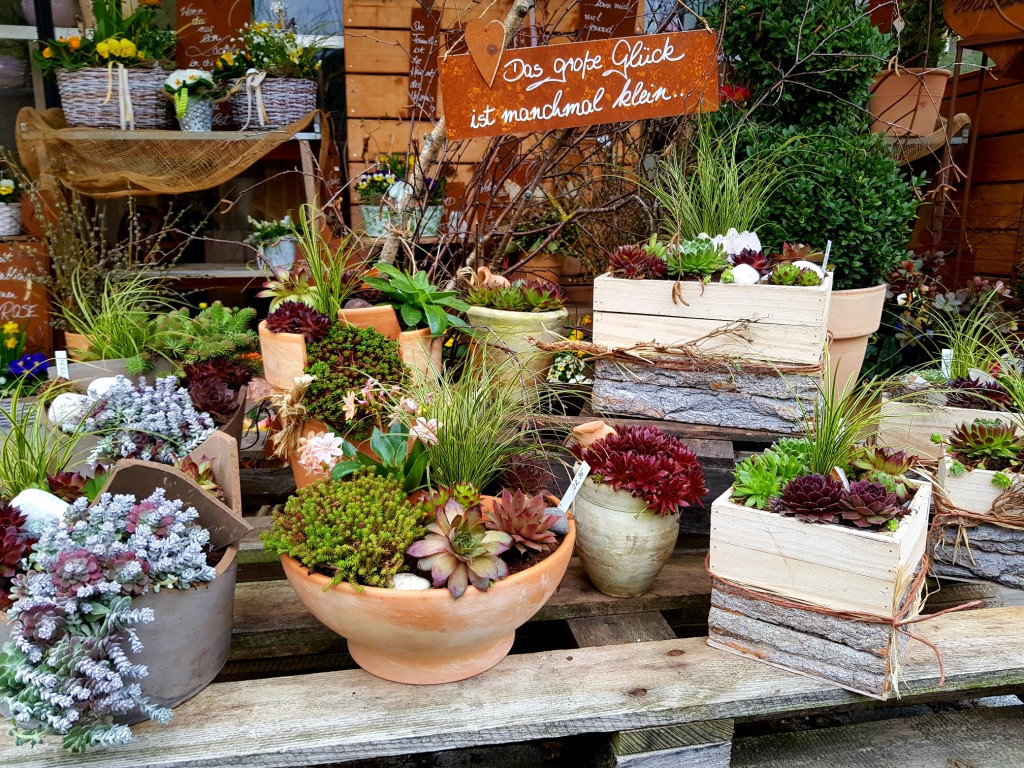 Dekoration von Gärtnerei Bauer Gartenbau-Floristik