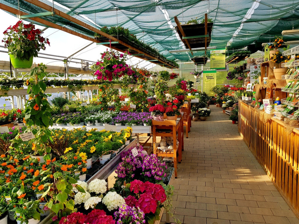 Pflanzen von Gärtnerei Bauer Gartenbau-Floristik